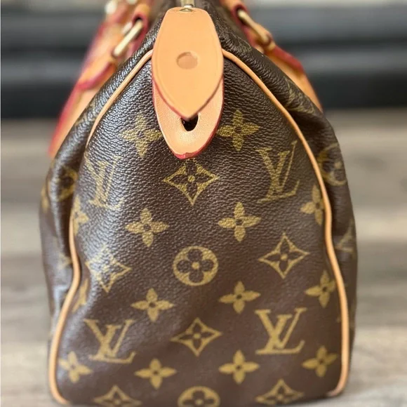 Louis Vuitton Speedy 25 Brown Monogram Satchel with Pink Scarf and Charm - Picture 10 of 16